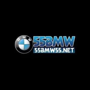 BMW55
