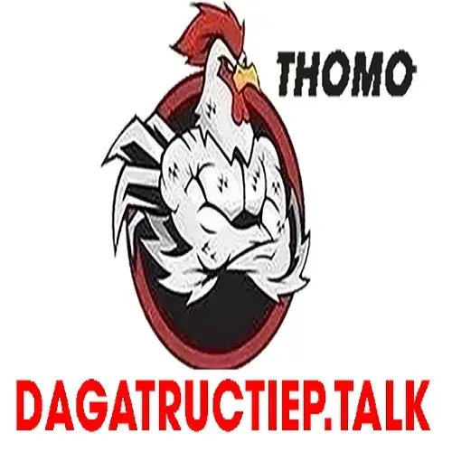 ĐÁ GÀ TRỰC TIẾP TALK