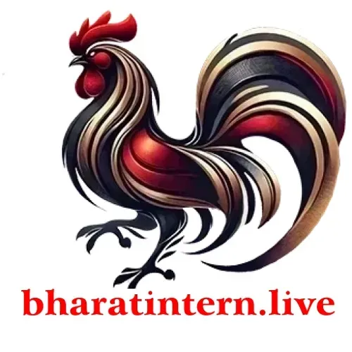 ĐÁ GÀ THOMO BHARATINTERN