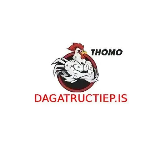 ĐÁ GÀ TRỰC TIẾP IS