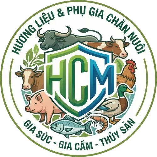 huonglieuchannuoihcm@gmail.com
