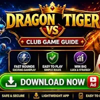 tiger club dragon