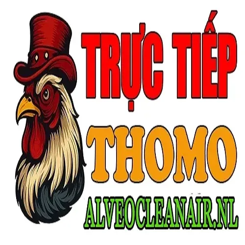 ĐÁ GÀ TRỰC TIẾP ALVEOCLEANAIR