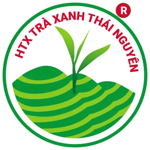 Trà Thái Nguyên Tân Cương