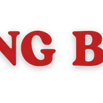 Hoàng Bảo Long