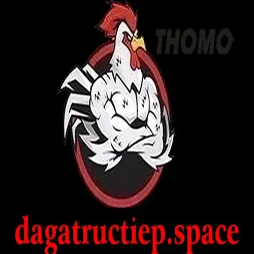 ĐÁ GÀ TRỰC TIẾP SPACE