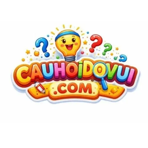 cauhoidovui