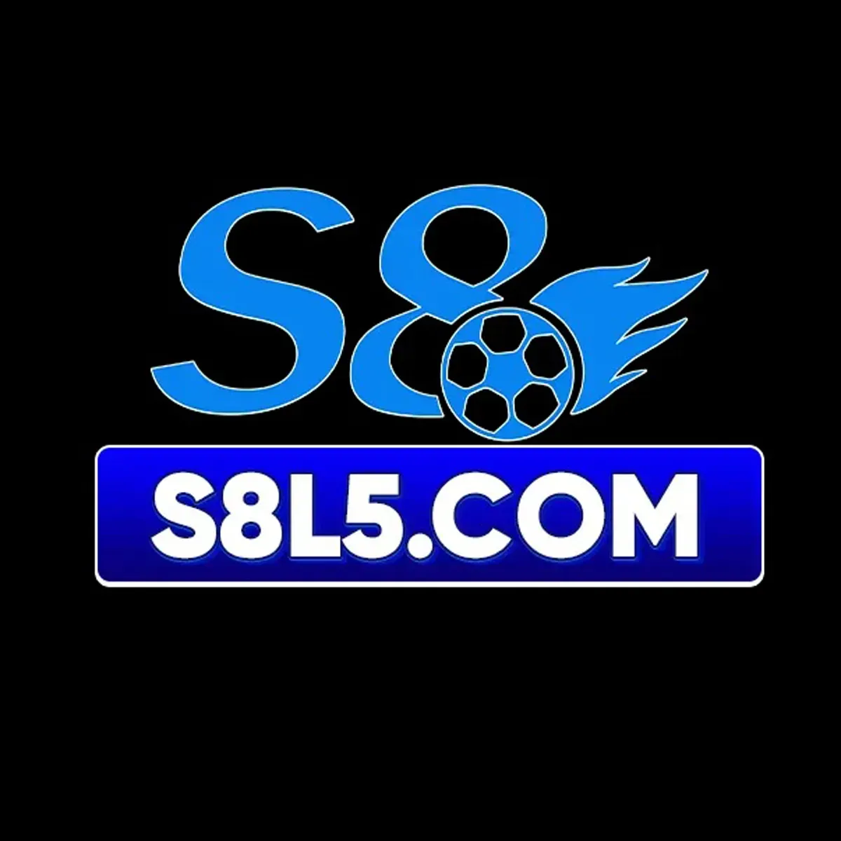 S8