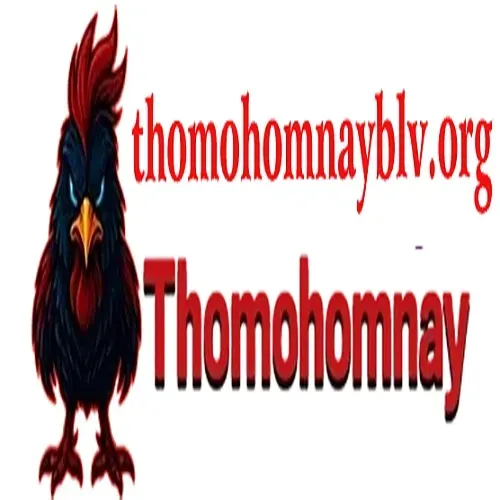 THOMO HOMNAY