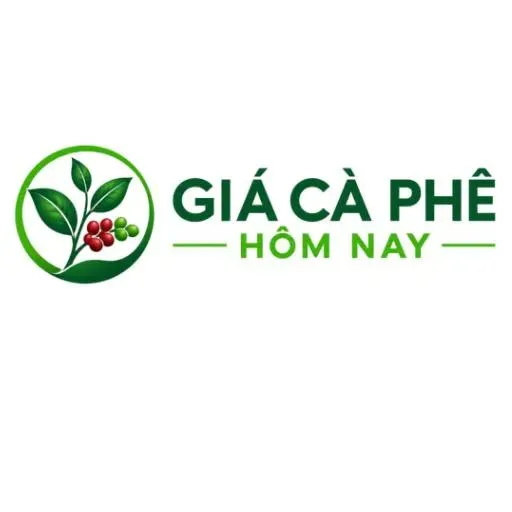 Giá cà phê hôm nay