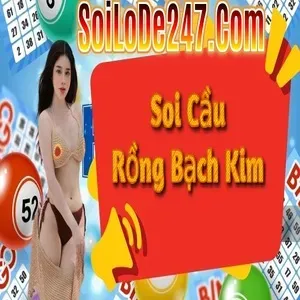 Soi Cầu 247