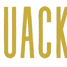 QuackGoal QuackGoal