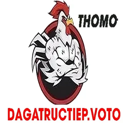ĐÁ GÀ TRỰC TIẾP VOTO