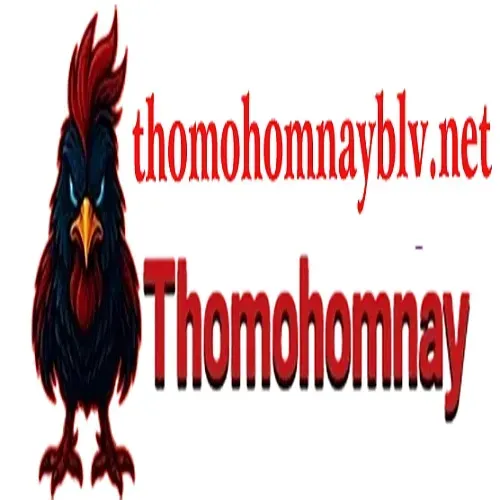 THOMO HOMNAY