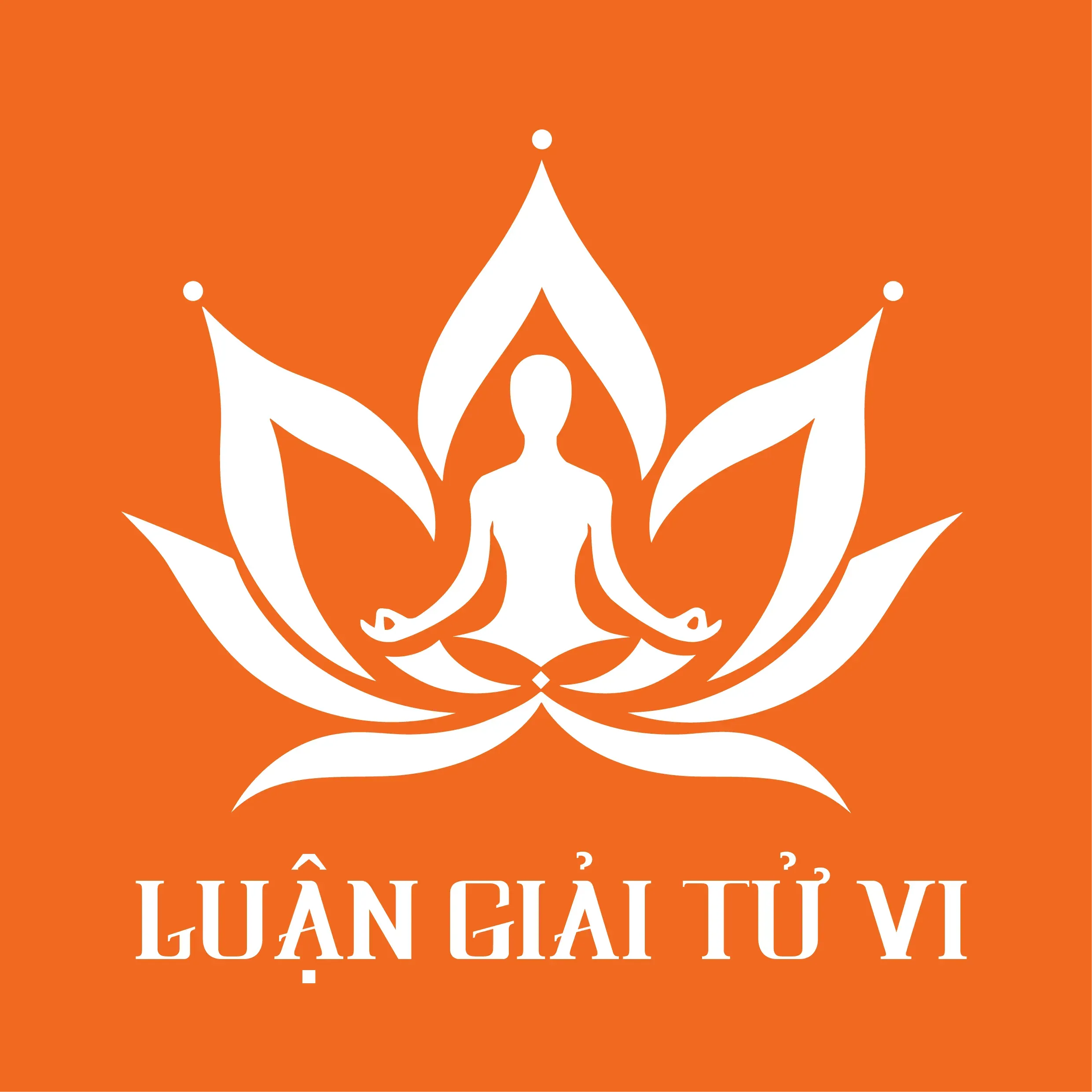 Tuệ San VN